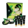 Shunga Kit Secrets De Geisha Organica Thé Vert Exotique